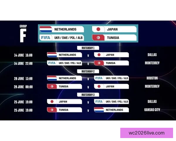 全面解析2026年世界杯淘汰赛晋级规则变化与战术影响指南详解版